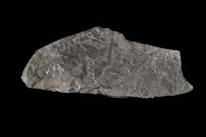 CAMPAGNE LEWARDE 2024_SESSION 2