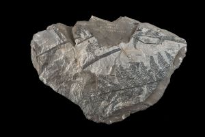 CAMPAGNE LEWARDE 2024_SESSION 2