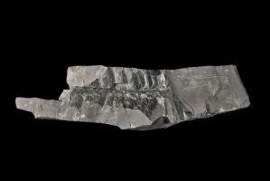 CAMPAGNE LEWARDE 2024_SESSION 2