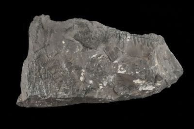 CAMPAGNE LEWARDE 2024_SESSION 2