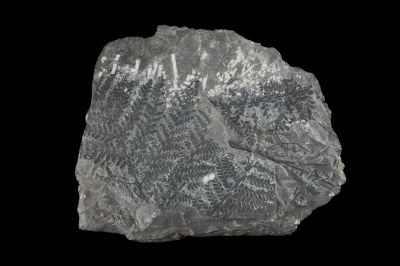 CAMPAGNE LEWARDE 2024_SESSION 2