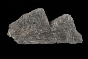 CAMPAGNE LEWARDE 2024_SESSION 2