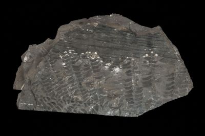 CAMPAGNE LEWARDE 2024_SESSION 2