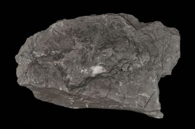 CAMPAGNE LEWARDE 2024_SESSION 2