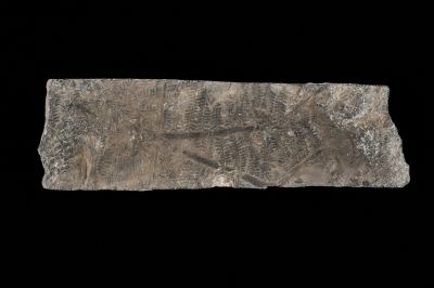 CAMPAGNE LEWARDE 2024_SESSION 2