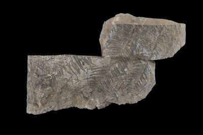 CAMPAGNE LEWARDE 2024_SESSION 2