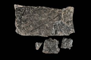 CAMPAGNE LEWARDE 2024_SESSION 2