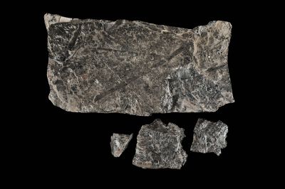 CAMPAGNE LEWARDE 2024_SESSION 2