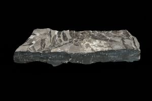 CAMPAGNE LEWARDE 2024_SESSION 2