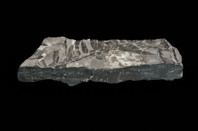 CAMPAGNE LEWARDE 2024_SESSION 2