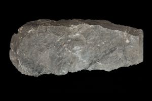 CAMPAGNE LEWARDE 2024_SESSION 2