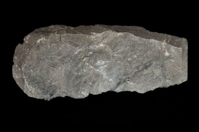 CAMPAGNE LEWARDE 2024_SESSION 2