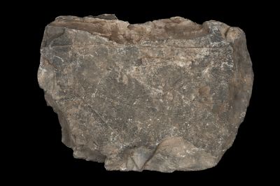 CAMPAGNE LEWARDE 2024_SESSION 2