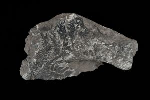 CAMPAGNE LEWARDE 2024_SESSION 2