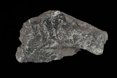 CAMPAGNE LEWARDE 2024_SESSION 2