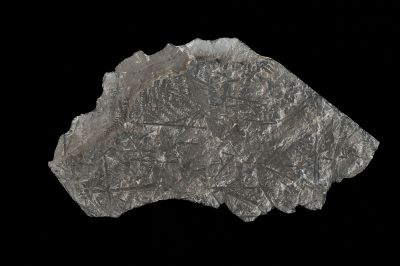 CAMPAGNE LEWARDE 2024_SESSION 2