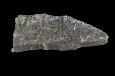 CAMPAGNE LEWARDE 2024_SESSION 2