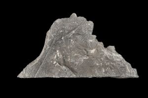 CAMPAGNE LEWARDE 2024_SESSION 2