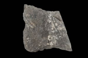 CAMPAGNE LEWARDE 2024_SESSION 2