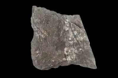 CAMPAGNE LEWARDE 2024_SESSION 2