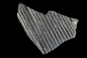 CAMPAGNE LEWARDE 2024_SESSION 2