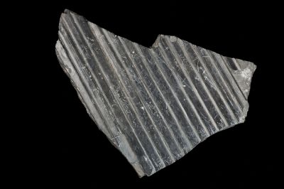 CAMPAGNE LEWARDE 2024_SESSION 2