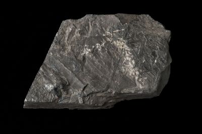 CAMPAGNE LEWARDE 2024_SESSION 2