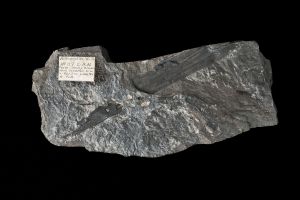 CAMPAGNE LEWARDE 2024_SESSION 2