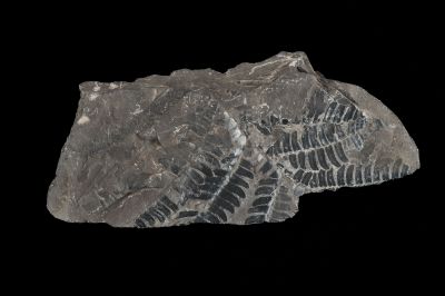 CAMPAGNE LEWARDE 2024_SESSION 2