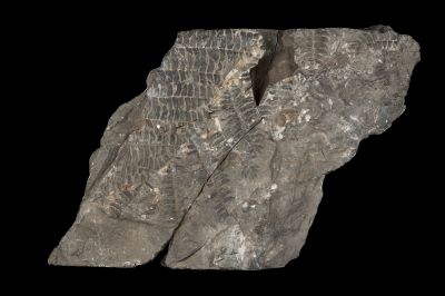 CAMPAGNE LEWARDE 2024_SESSION 2