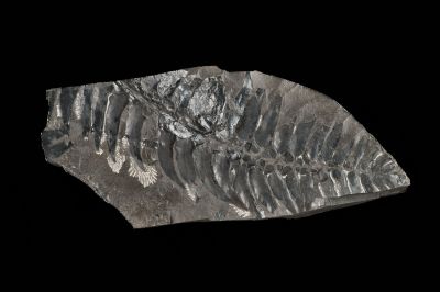 CAMPAGNE LEWARDE 2024_SESSION 2