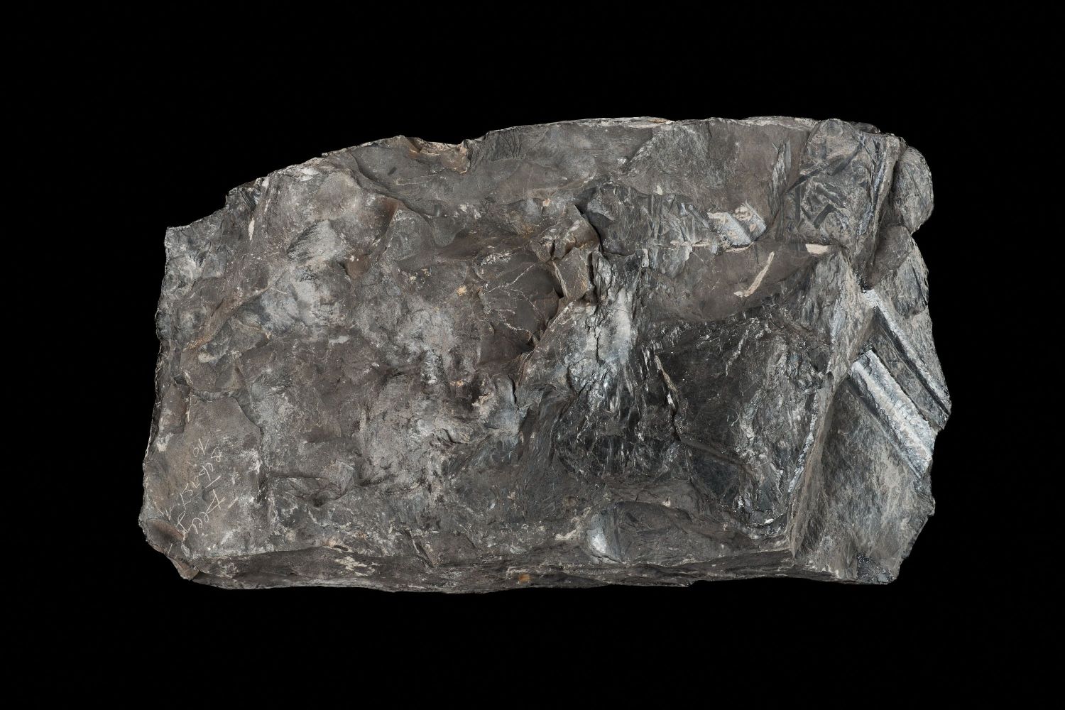 Veuillez patienter...