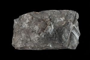 CAMPAGNE LEWARDE 2024_SESSION 2