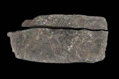 CAMPAGNE LEWARDE 2024_SESSION 2