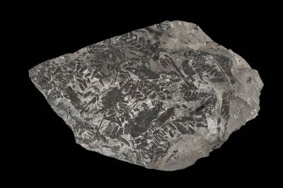 CAMPAGNE LEWARDE 2024_SESSION 2