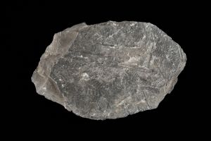 CAMPAGNE LEWARDE 2024_SESSION 2