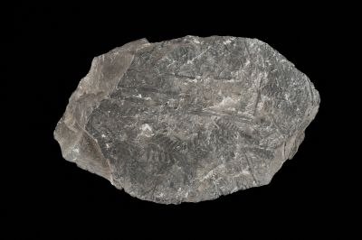 CAMPAGNE LEWARDE 2024_SESSION 2