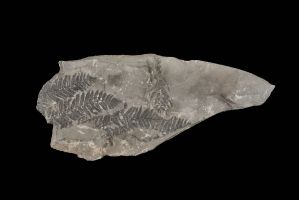 CAMPAGNE LEWARDE 2024_SESSION 2