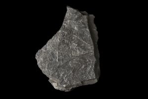 CAMPAGNE LEWARDE 2024_SESSION 2