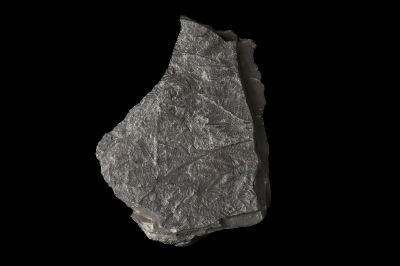 CAMPAGNE LEWARDE 2024_SESSION 2