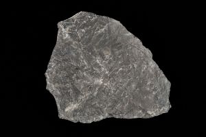 CAMPAGNE LEWARDE 2024_SESSION 2