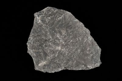 CAMPAGNE LEWARDE 2024_SESSION 2