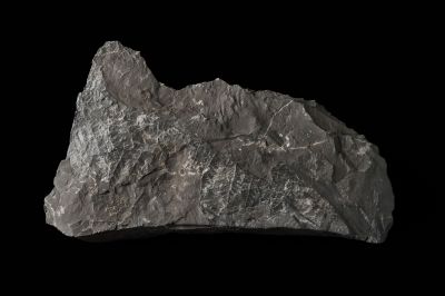 CAMPAGNE LEWARDE 2024_SESSION 2