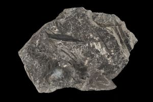 CAMPAGNE LEWARDE 2024_SESSION 2