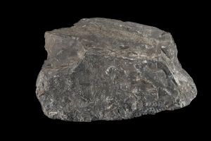 CAMPAGNE LEWARDE 2024_SESSION 2