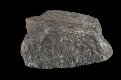 CAMPAGNE LEWARDE 2024_SESSION 2