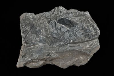 CAMPAGNE LEWARDE 2024_SESSION 2