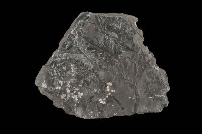 CAMPAGNE LEWARDE 2024_SESSION 2