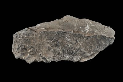 CAMPAGNE LEWARDE 2024_SESSION 2