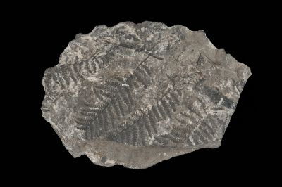 CAMPAGNE LEWARDE 2024_SESSION 2